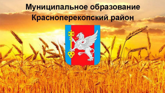 16 мая 2025 года назначены публичные слушания по отчету об исполнении бюджета муниципального образования Красноперекопский район за 2024 год.